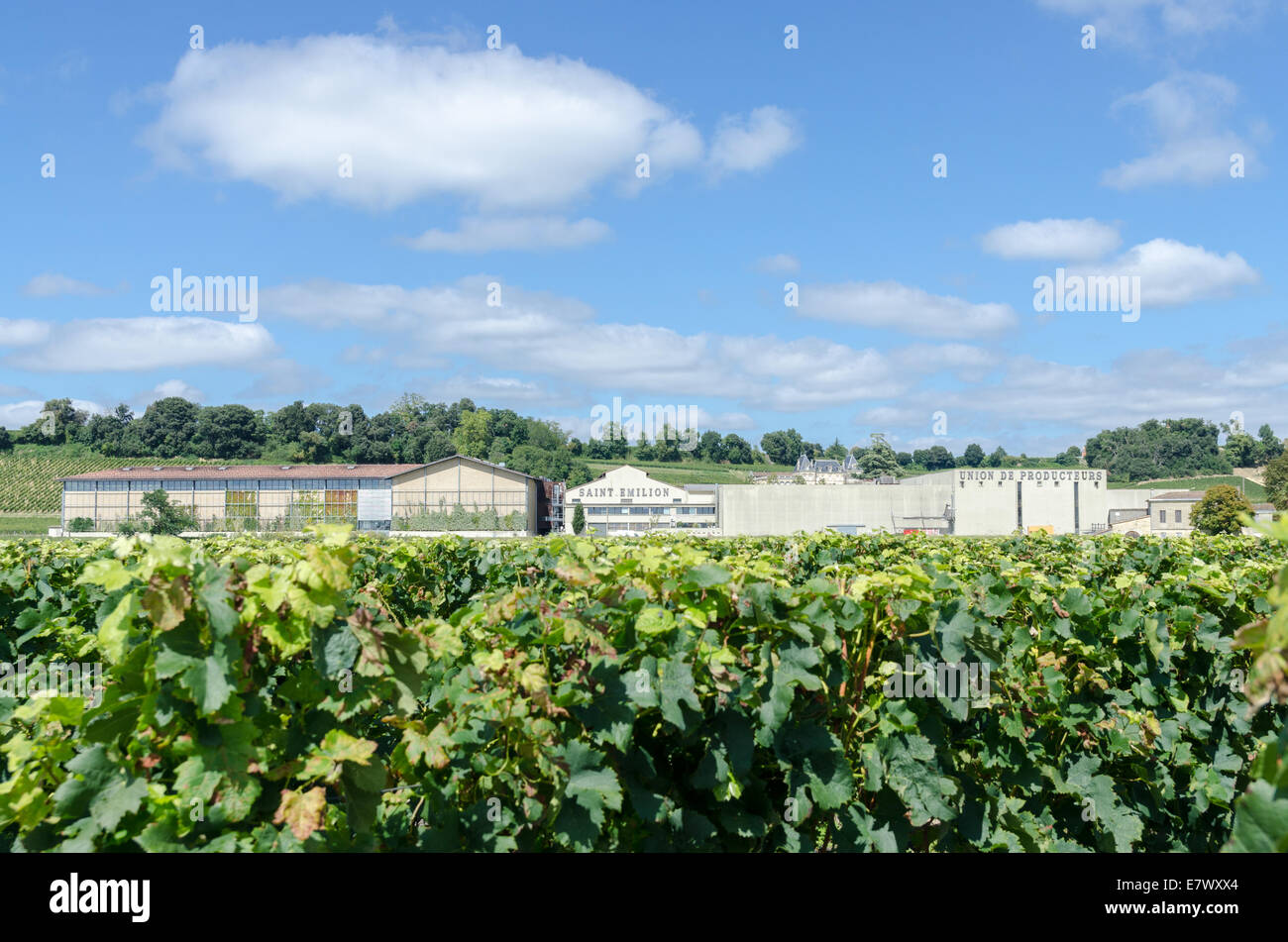 Saint Emilion Union de Producteurs Wein Produzent kooperative in St. Emilion, Bordeaux Stockfoto