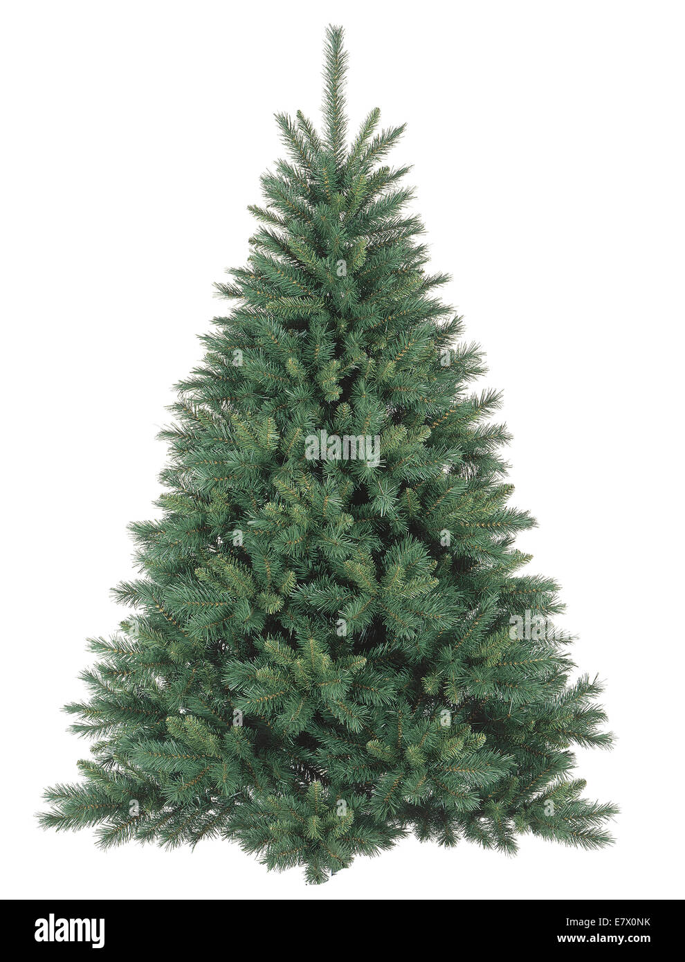 Weihnachtsbaum ohne Ornamente Stockfoto