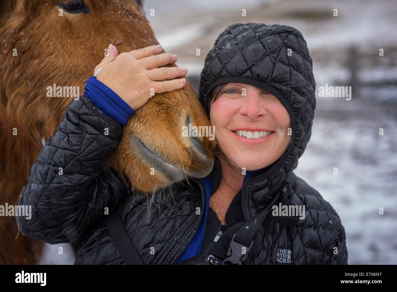 Frau mit Islandpferd in einem Schneesturm, Island Stockfoto