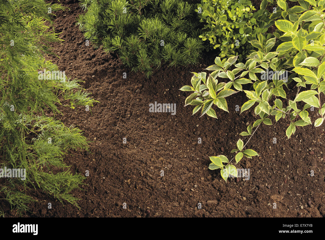 Feld-frame Stockfoto