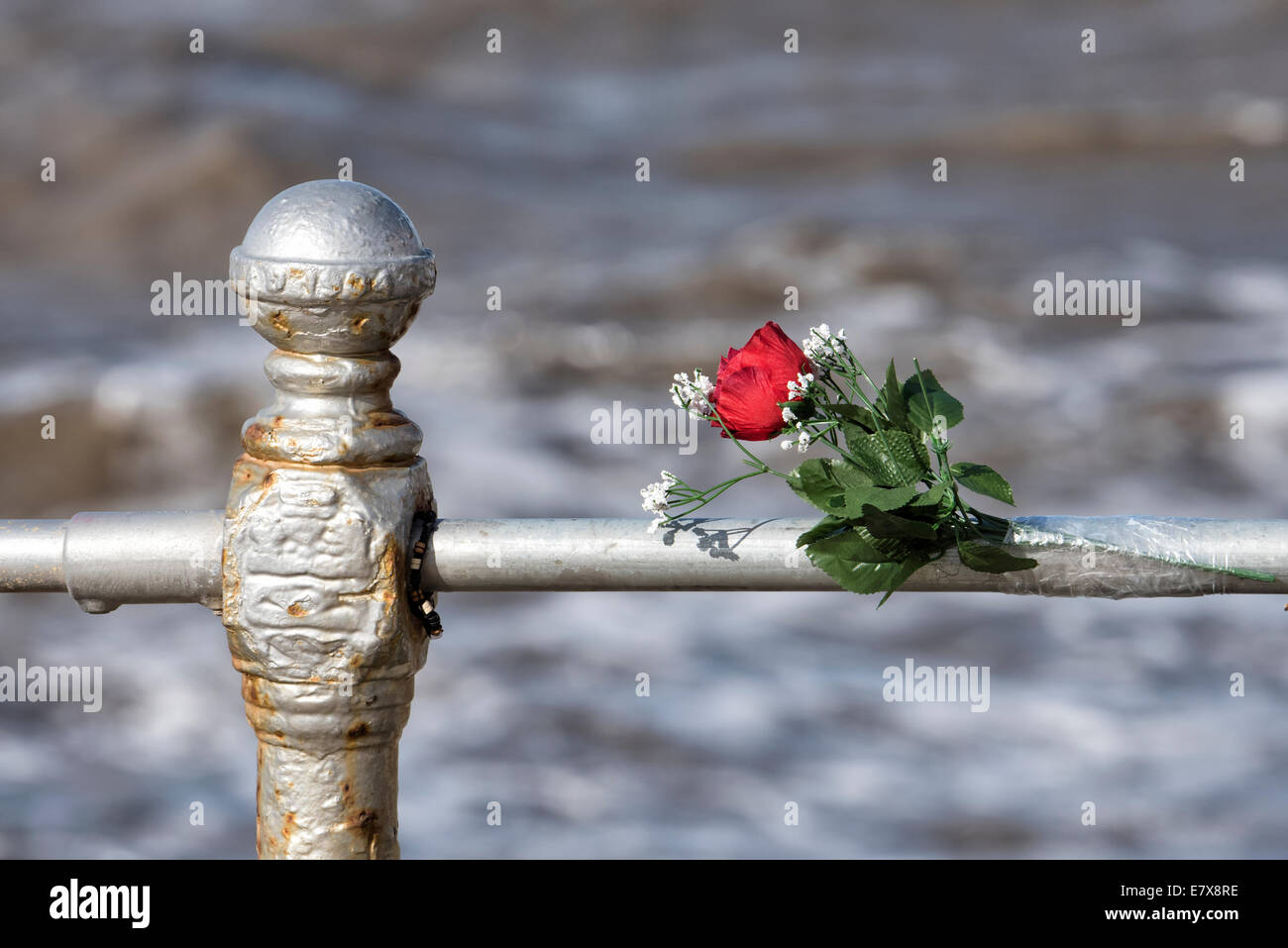 Blumen auf einem Geländer mit Blick auf das Meer, in Erinnerung an einen jungen Mann, der es Selbstmord begangen Stockfoto