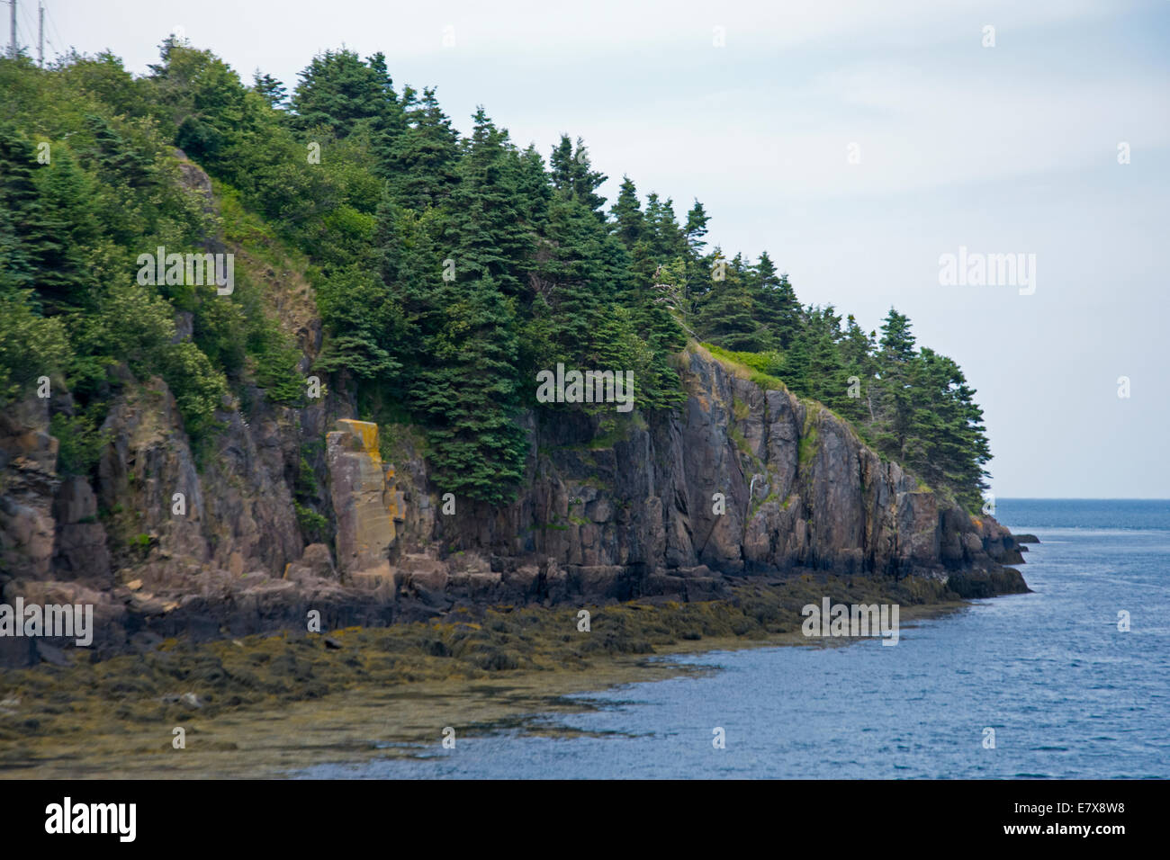 Küstenlinie entlang der Bay Of Fundy. Stockfoto