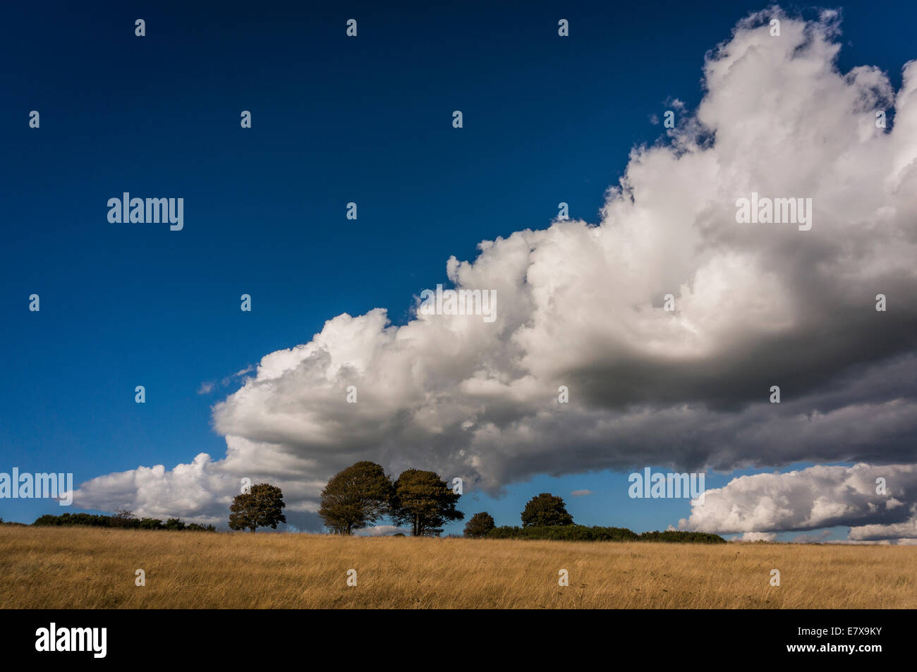 Dramatische Cloud-Scape über Cissbury Ringe, Worthing, West Sussex, UK Stockfoto