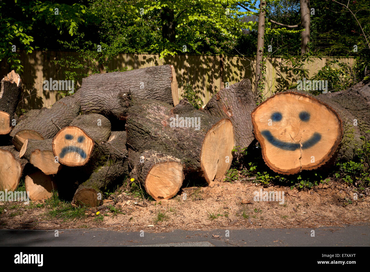 Southampton Hampshire england Stockfoto