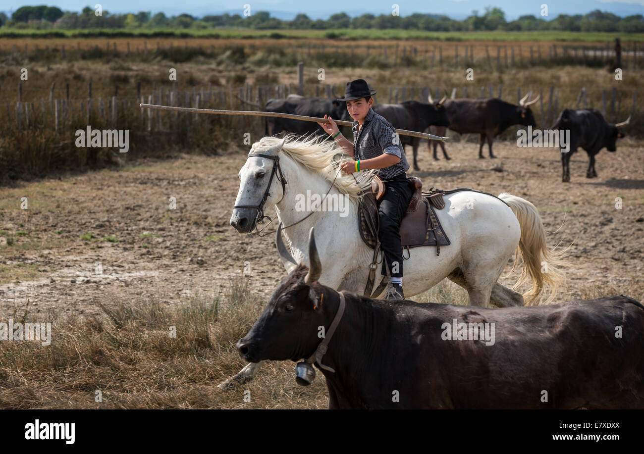 Eine junge französische Guardian auf Haus, Camargue, Frankreich Stockfoto