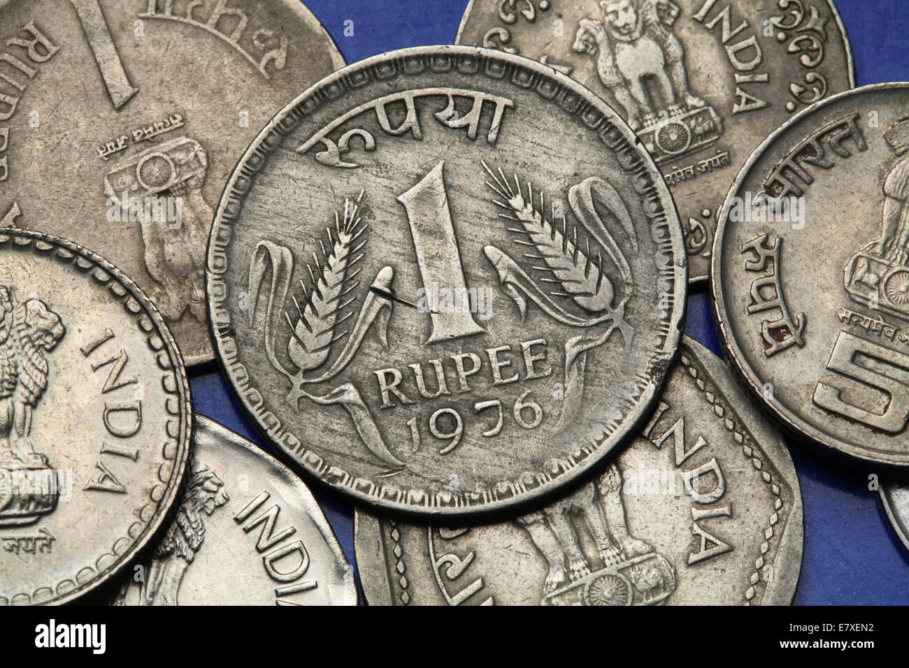 Münzen von Indien. Zwei Halme des Weizens in der indischen eine Rupie-Münze abgebildet. Stockfoto