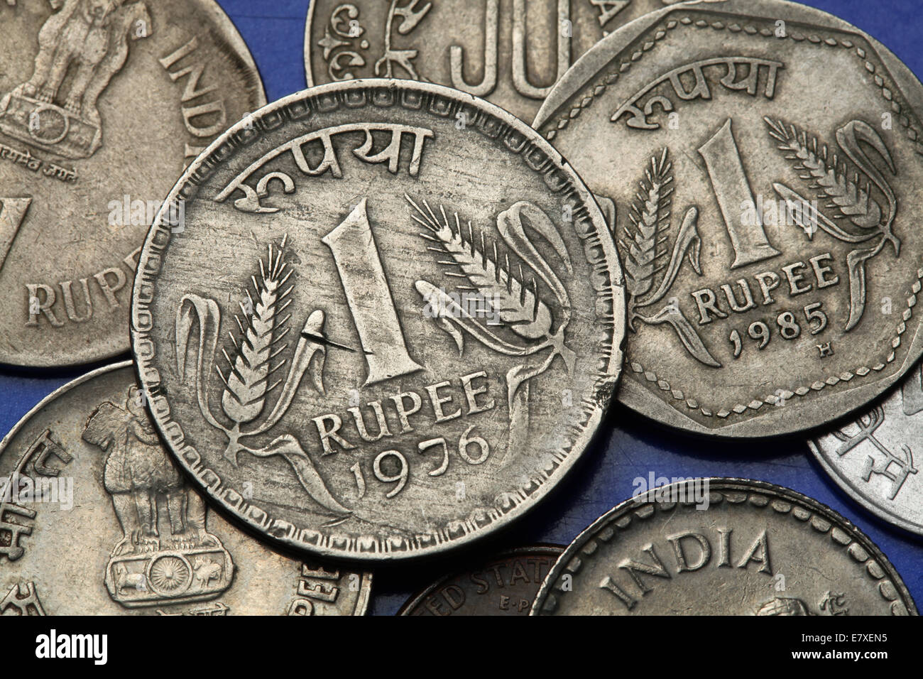 Münzen von Indien. Zwei Halme des Weizens in der indischen eine Rupie-Münze abgebildet. Stockfoto