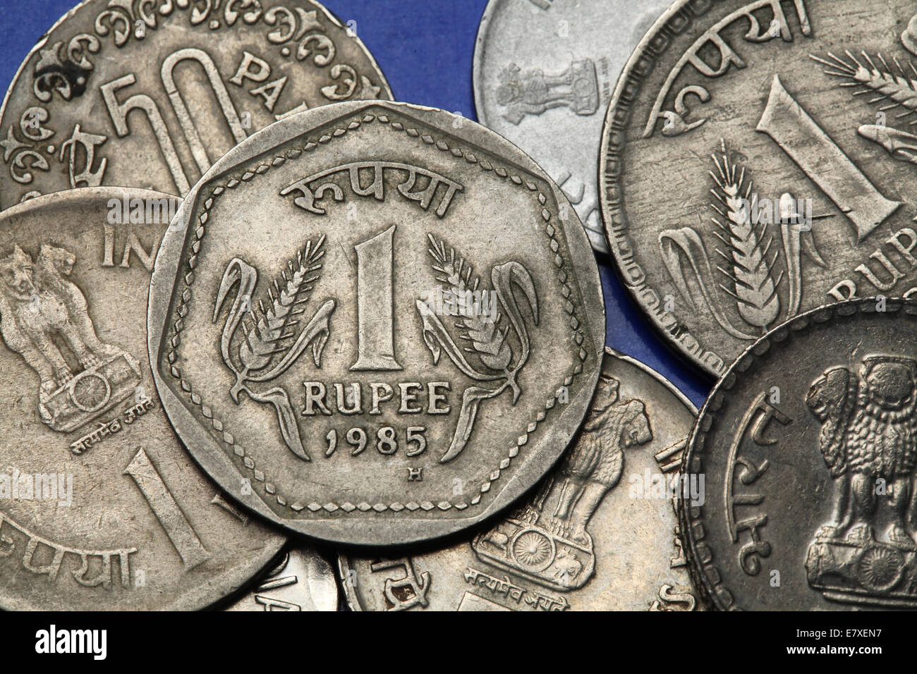 Münzen von Indien. Zwei Halme des Weizens in der indischen eine Rupie-Münze abgebildet. Stockfoto