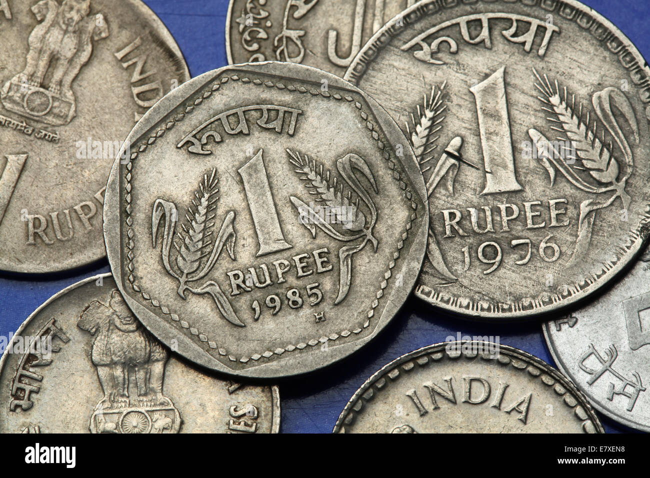 Münzen von Indien. Zwei Halme des Weizens in der indischen eine Rupie-Münze abgebildet. Stockfoto