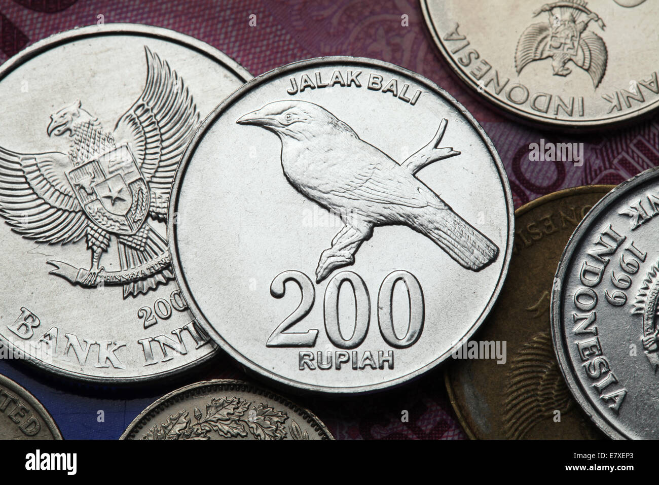 Münzen von Indonesien. Balistar (Leucopsar Rothschildi) in der indonesischen 200-Rupiah-Münze abgebildet. Stockfoto