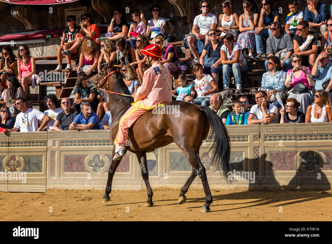 Jockey, warten auf den Beginn der Pferderennen Palio di Siena am Piazza del Campo in Siena, Toskana, Italien Stockfoto