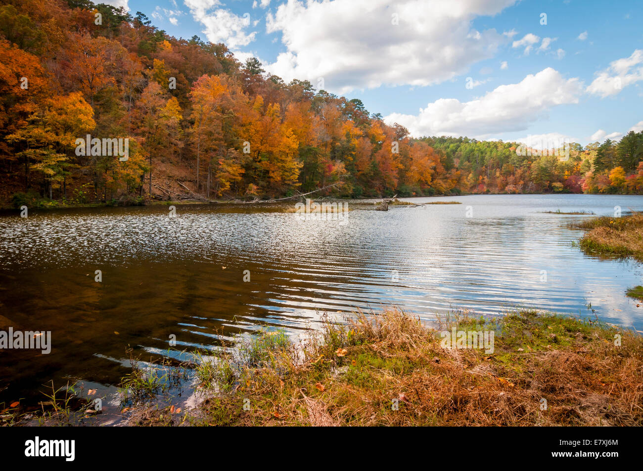 See Chinnabee in Talladega National Forest, Alabama, USA Stockfoto