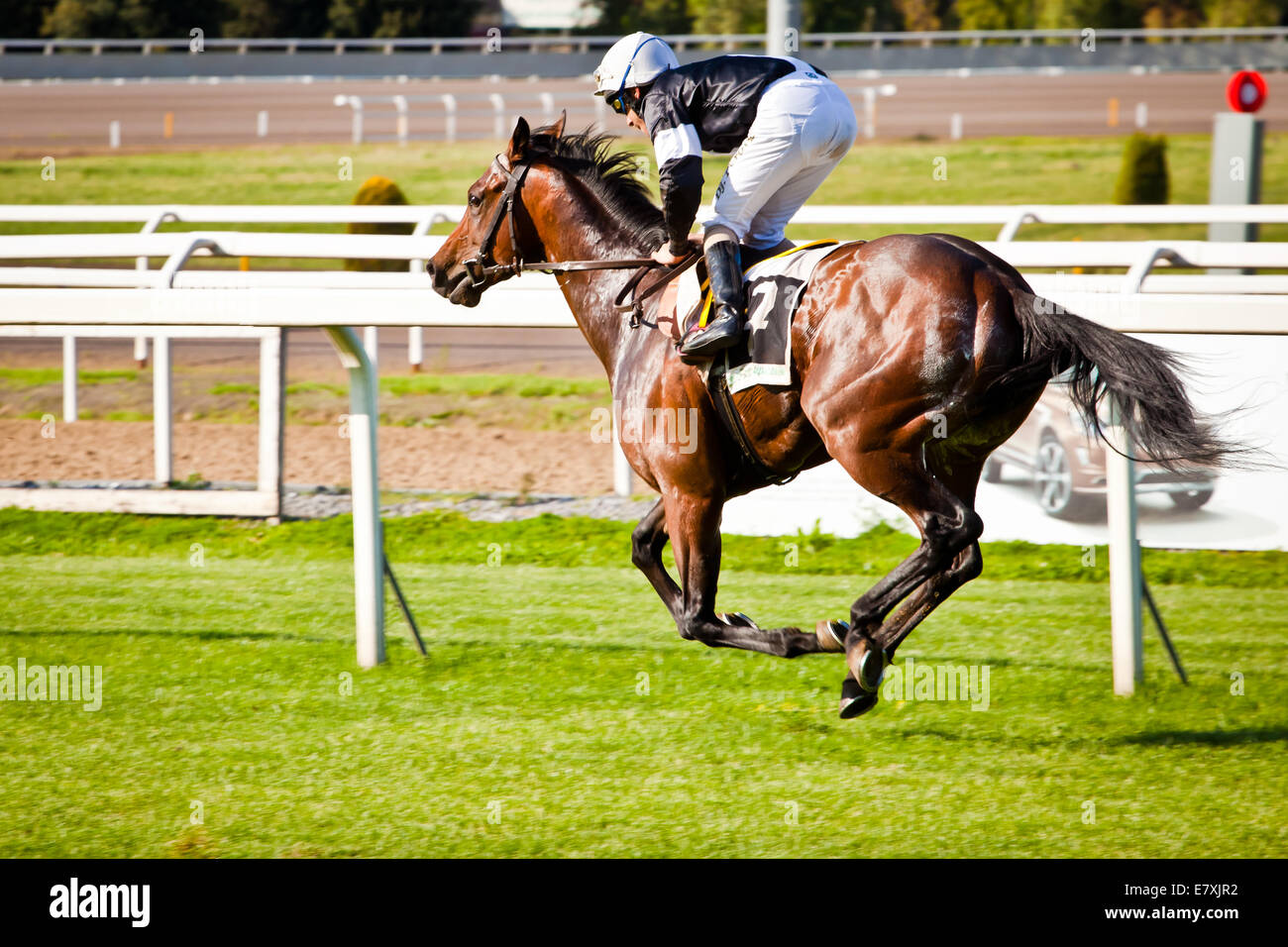 Rom, Italien, 1. Mai 2014: Jockey reitet Pferd während eines Rennens. Stockfoto