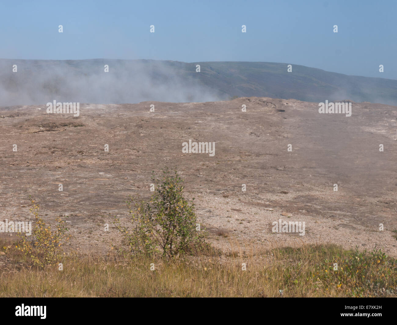 Geysir, Tal Haukadalur, Süd-West Island. Stockfoto