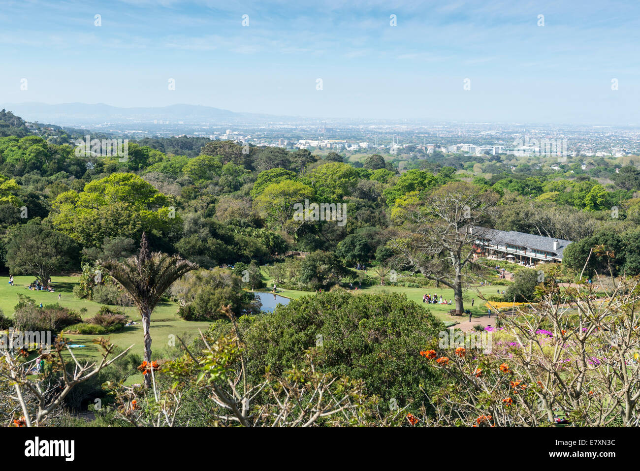 Blick von der hundertjährigen Baum überdachunggehweg in Kirstenbosch Botanical Garden, Kapstadt, Südafrika Stockfoto