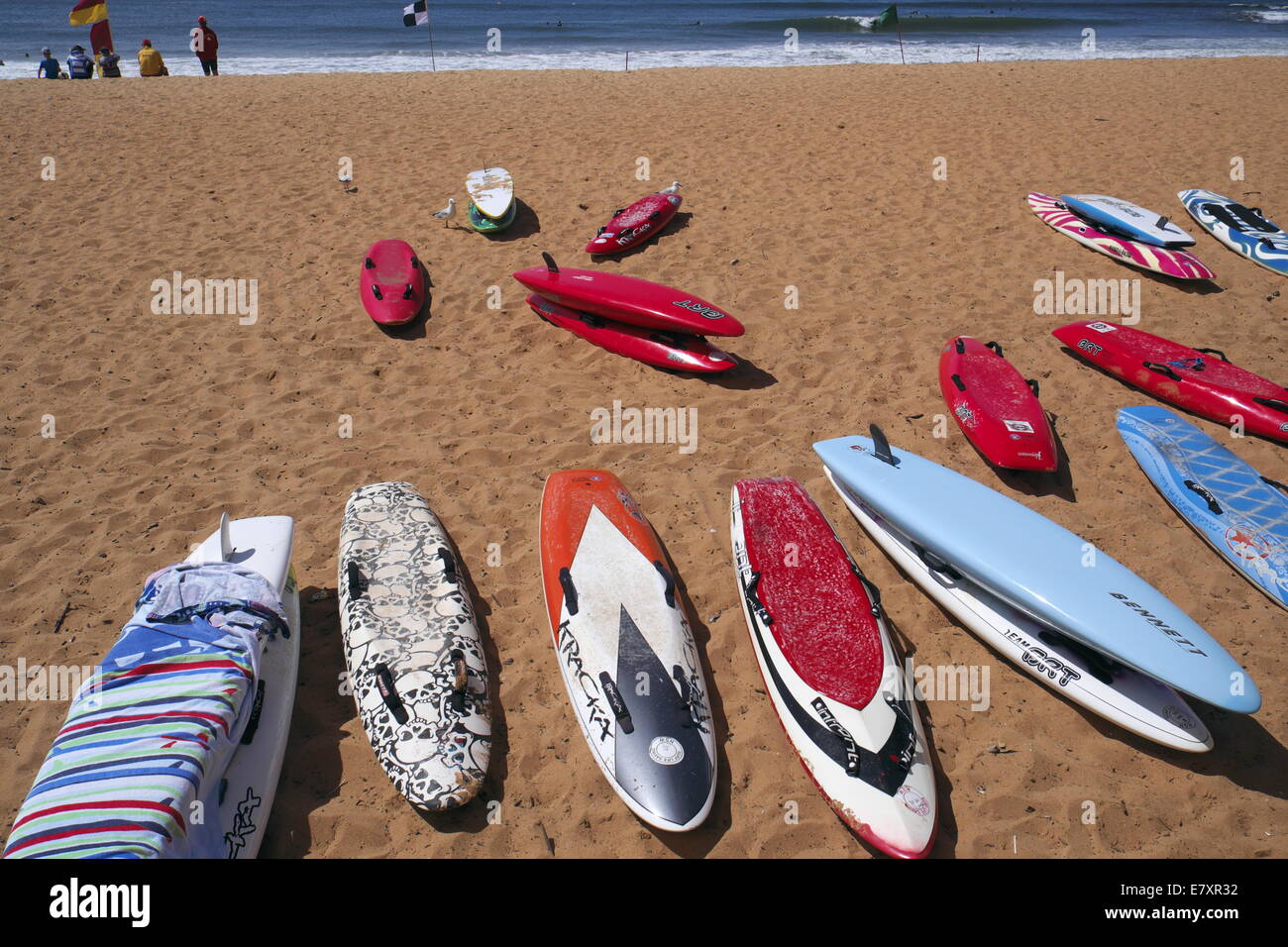 Surfbretter auf Collaroy Beach, einem der berühmten Nordstrände von Sydney, Australien Stockfoto
