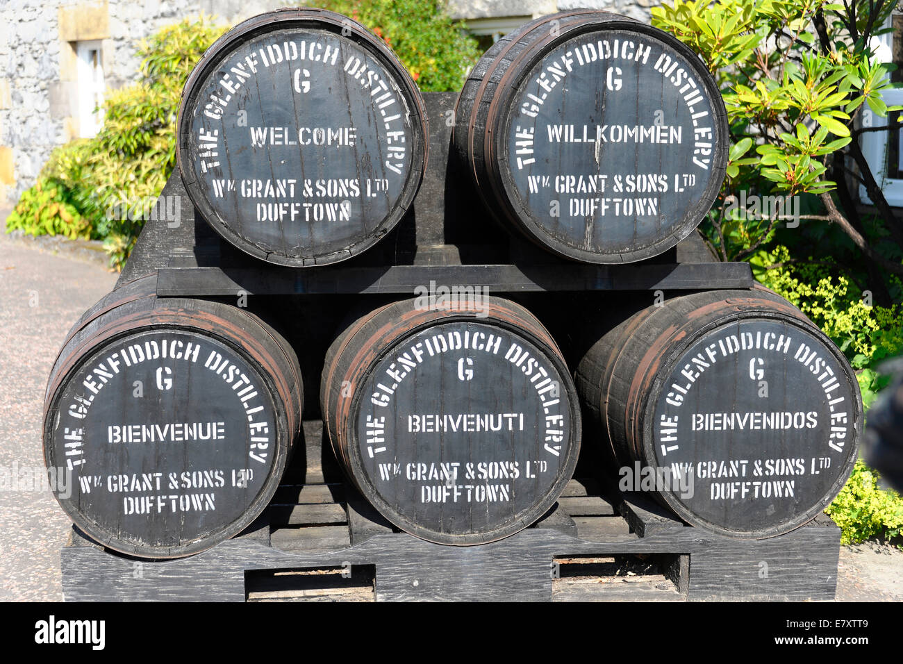 Fässer, Glenfiddich Whisky-Destillerie, Dufftown, Schottland, Vereinigtes Königreich Stockfoto