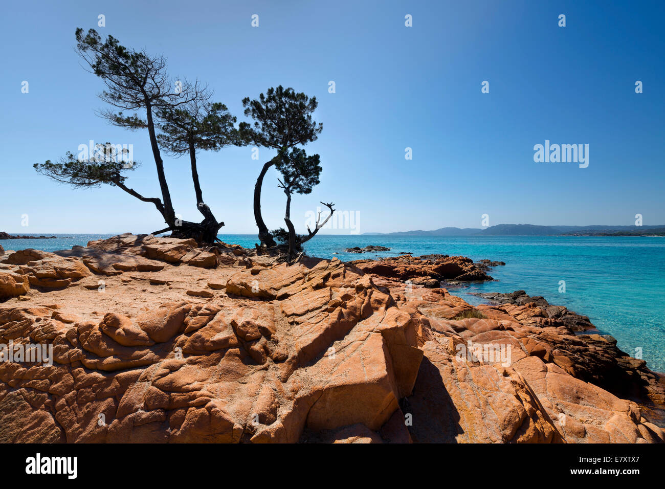 Roten Felsen, Strand von Palombaggia, Porto-Vecchio, Corse-du-Sud, Korsika, Frankreich Stockfoto