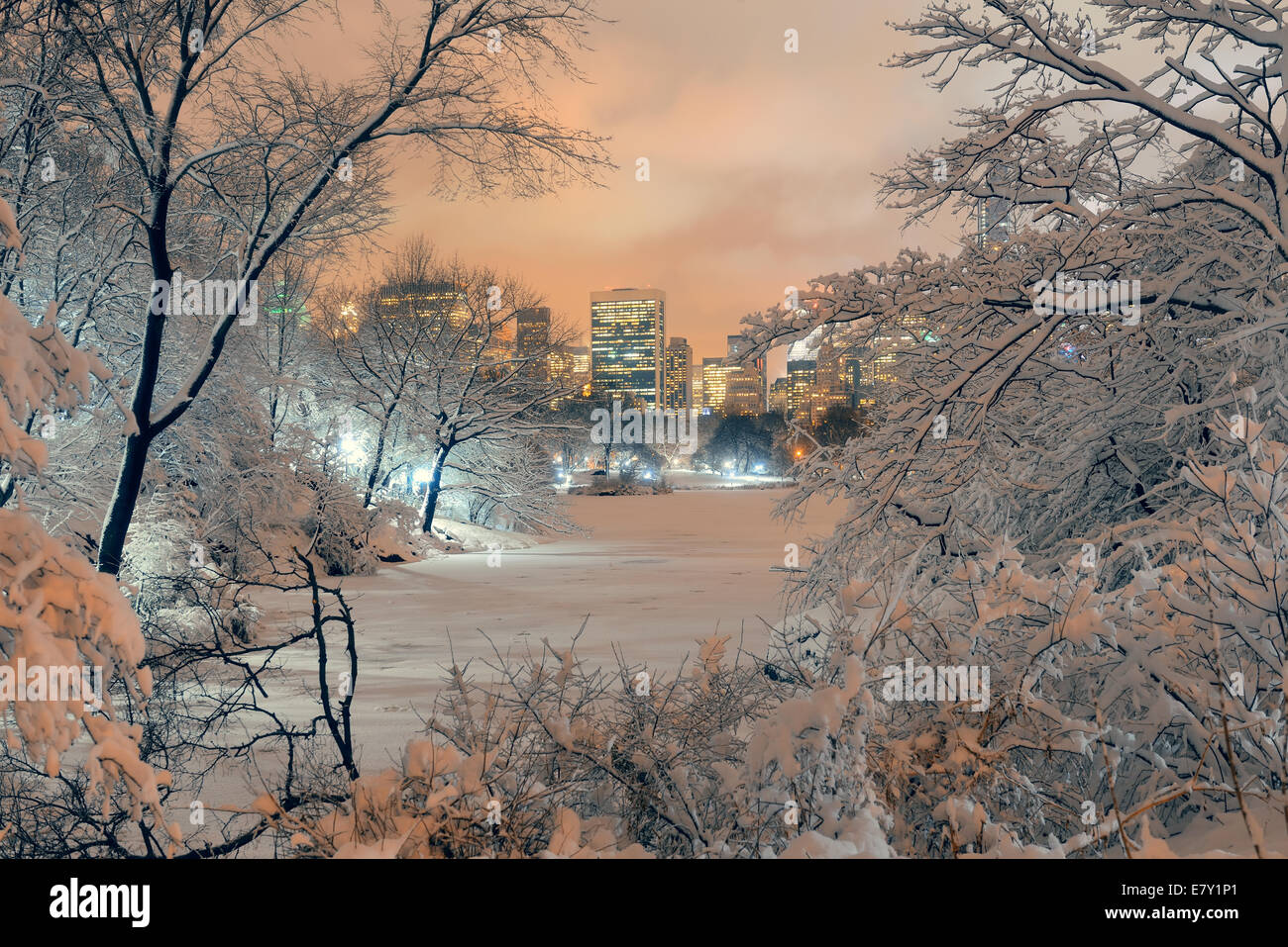Central Park Winter in Midtown Manhattan New York City Stockfoto