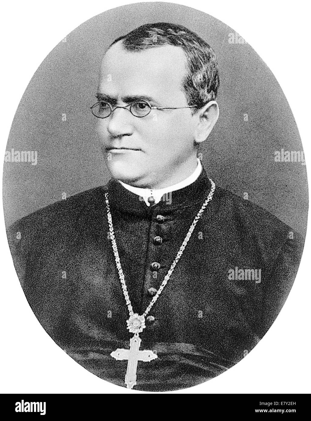 GREGOR MENDEL (1822-1884) schlesischen Wissenschaftler und Augustiner Mönch, der die Grundlagen der Genetik Stockfoto