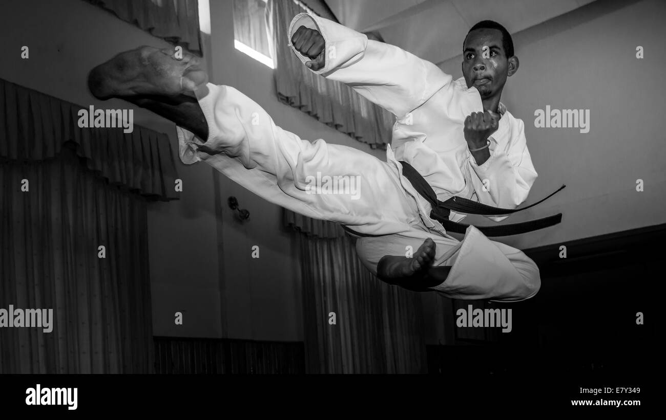 Ein junger Taekwondo-Schwarzgurt-Meister üben Taekwondo bewegt sich Stockfoto