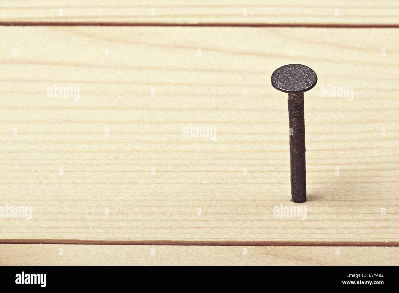 Nagel in Holzbohle Stockfoto