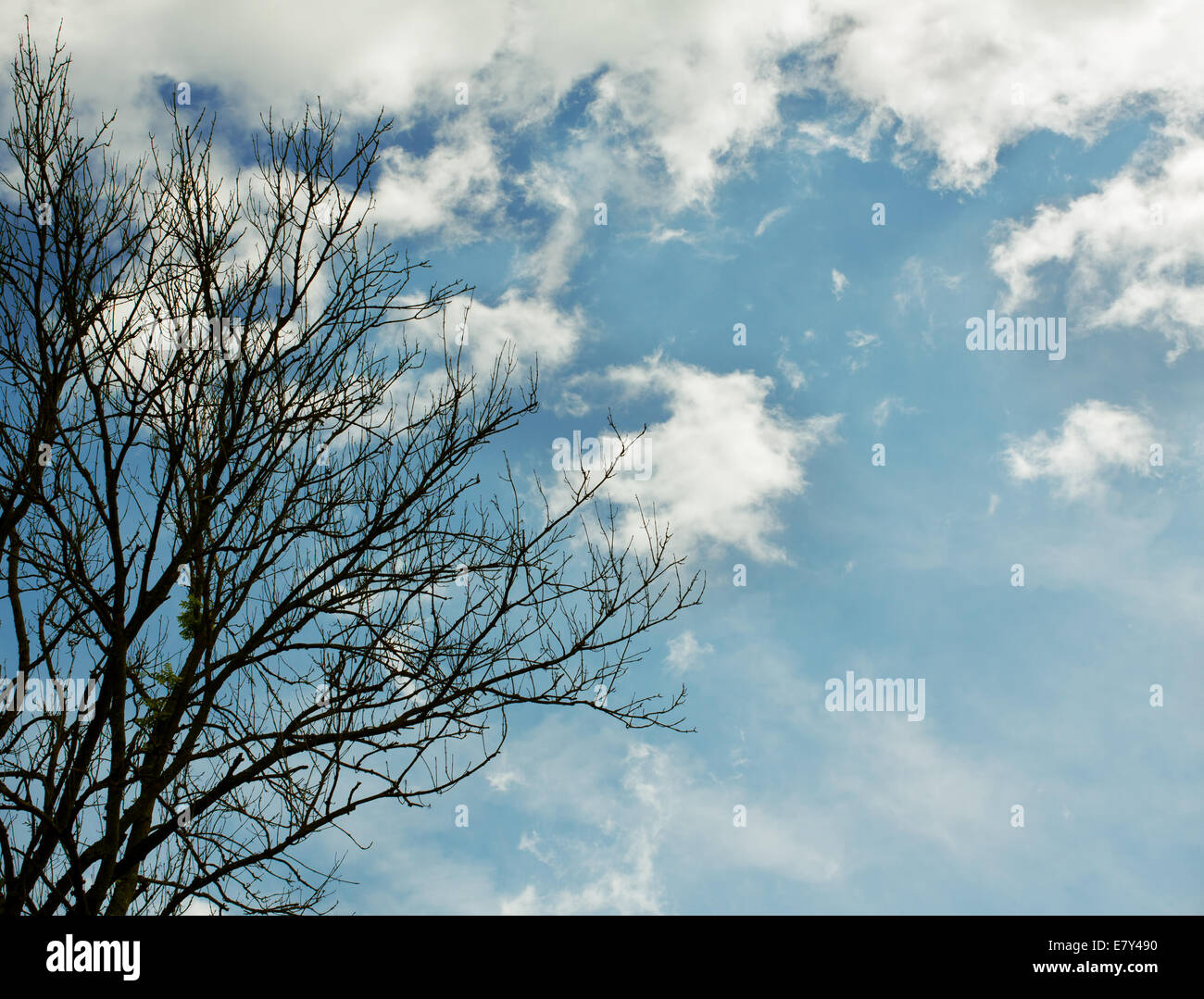 Blauer Himmel, Wolken und Sonne Licht. Sommer Zeit. Stockfoto