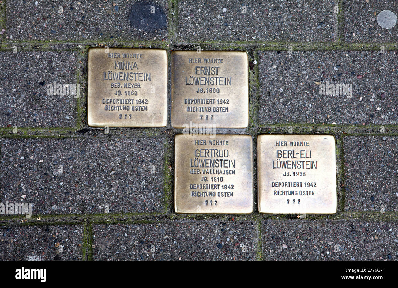 Stolpersteine und Stolpersteinen, Gedenktafeln zur Erinnerung an jüdische Opfer des Nationalsozialismus in Höxter, Nordrhein-Westfalen Stockfoto