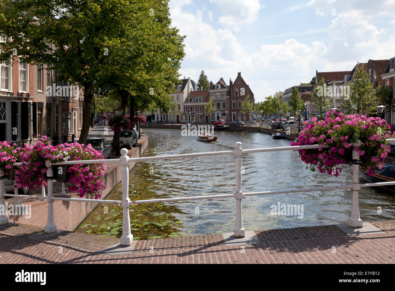Brücke mit Blumenkörben über den Kanal am Rapenburg, Leiden, Niederlande Stockfoto