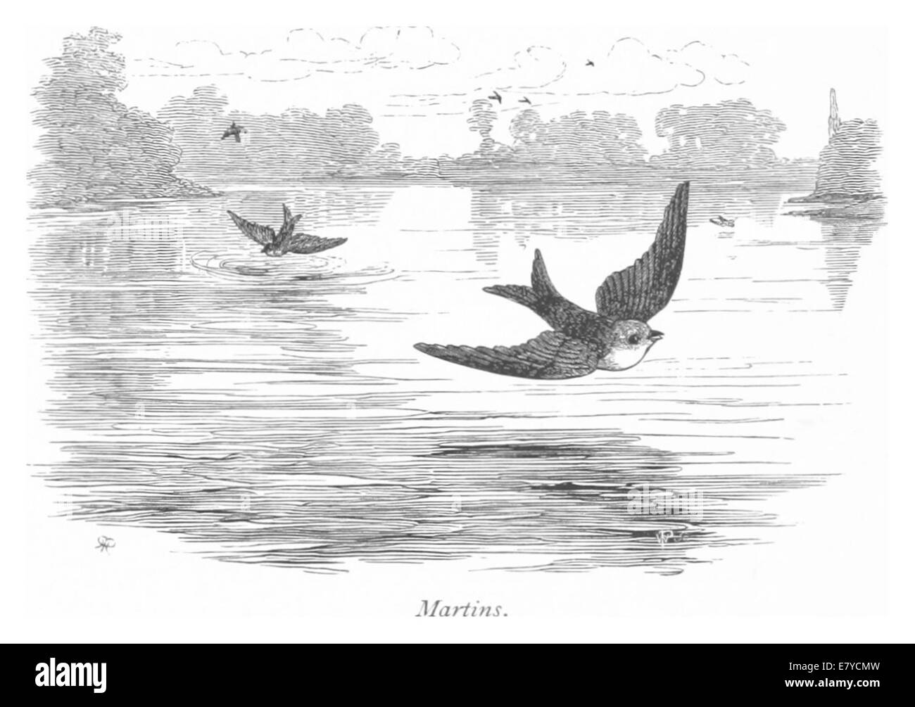 Diese 1875 von Ro gefertigte Illustration zeigt Martins und bezieht sich möglicherweise auf einen Ort oder ein Thema namens Martins. Die detaillierte Zeichnung erfasst architektonische oder szenische Merkmale im Zusammenhang mit Martins. Stockfoto