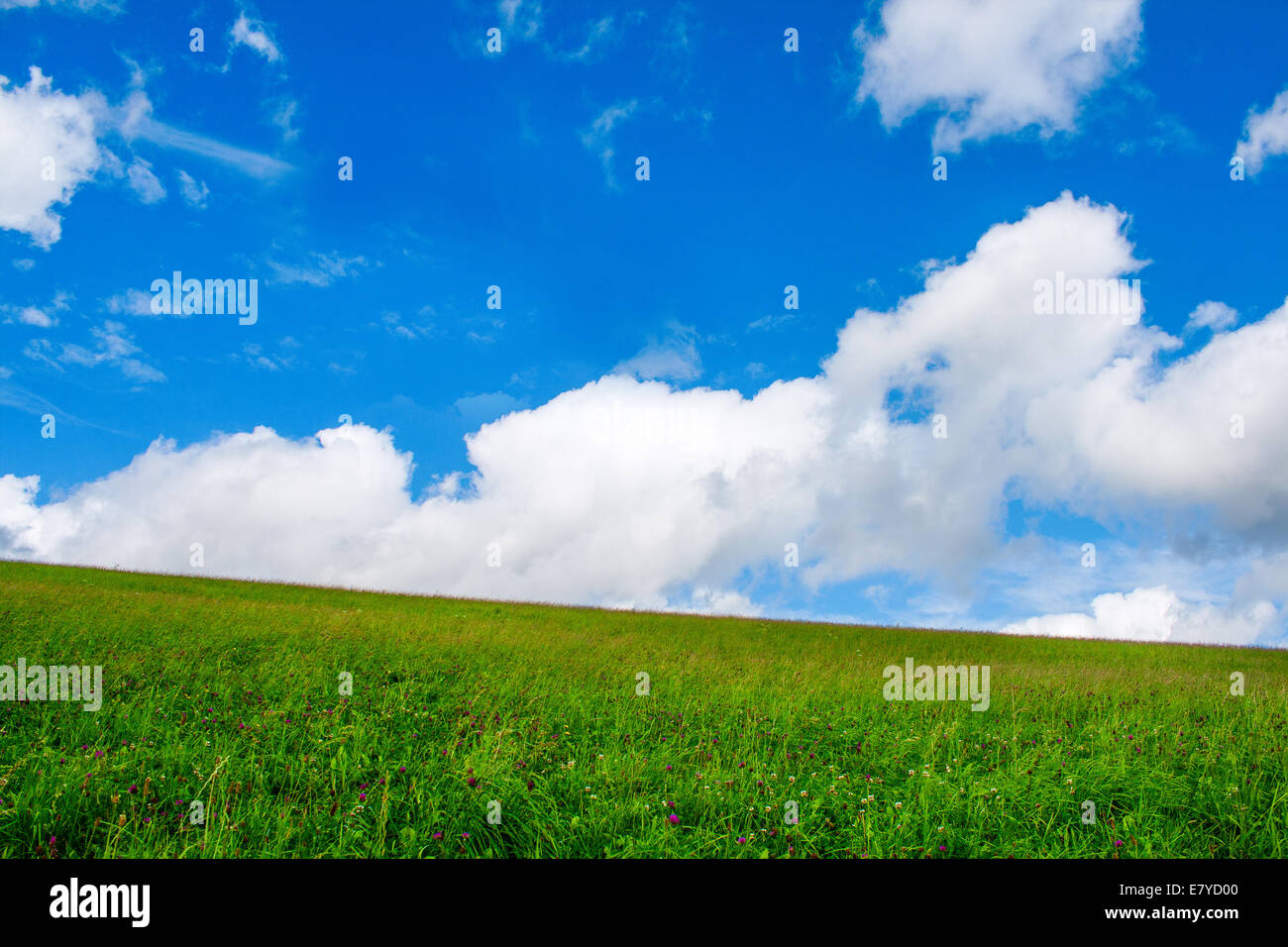 Grünen Wiese mit cremigen Wolken in den Bergen Stockfoto