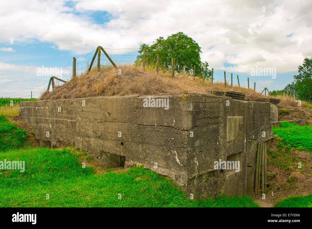 Deutsche Bunker von Erster Weltkrieg Belgien Flanders fields Stockfoto