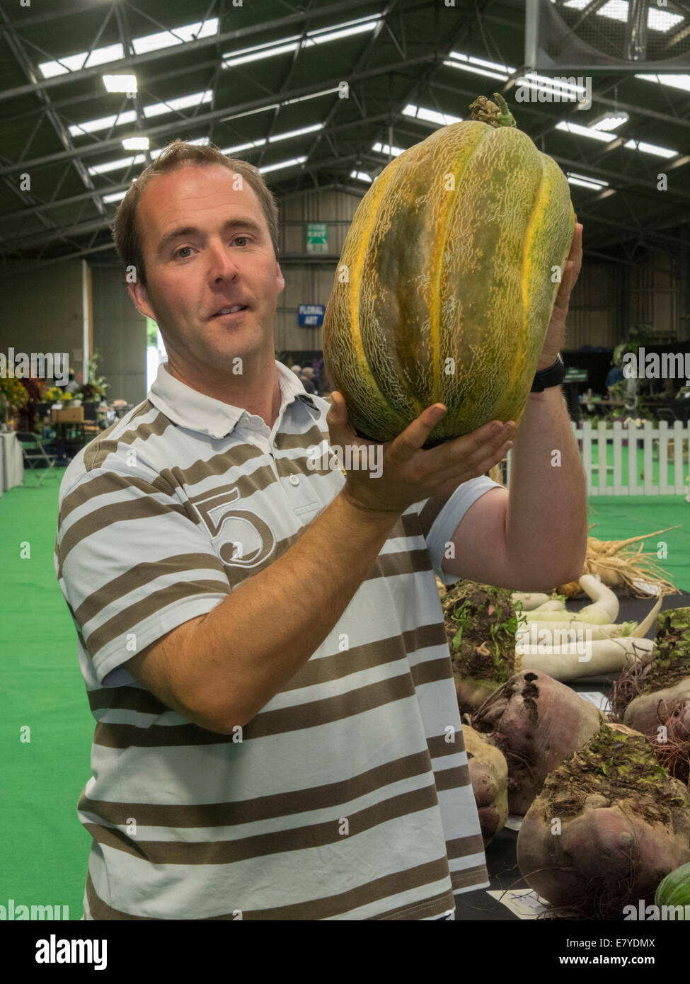 Malvern, Worcestershire, UK, 26. September 2014.  Kevin Fortey mit seinem riesigen Melone mit 8,8 Kg, die auf dem Malvern-Herbst-Salon ausgestellt werden. Die Malvern-Herbst-Show für die Öffentlichkeit öffnet morgen (Samstag). Bildnachweis: Ian Thwaites/Alamy Live-Nachrichten Stockfoto
