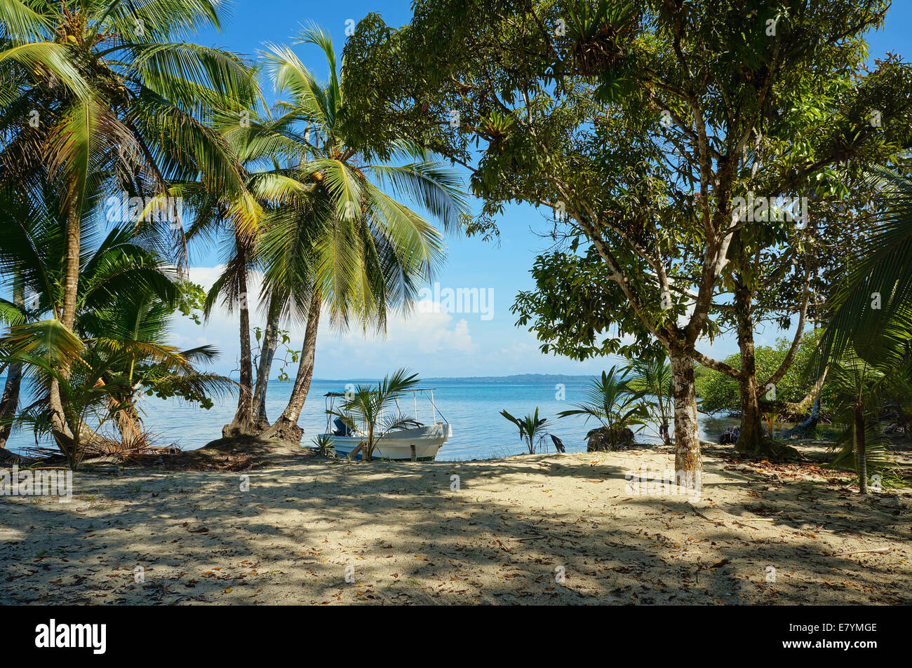 Ruhigen karibischen Strand mit Schatten spendenden Bäumen und ein Boot, Panama, Mittelamerika Stockfoto