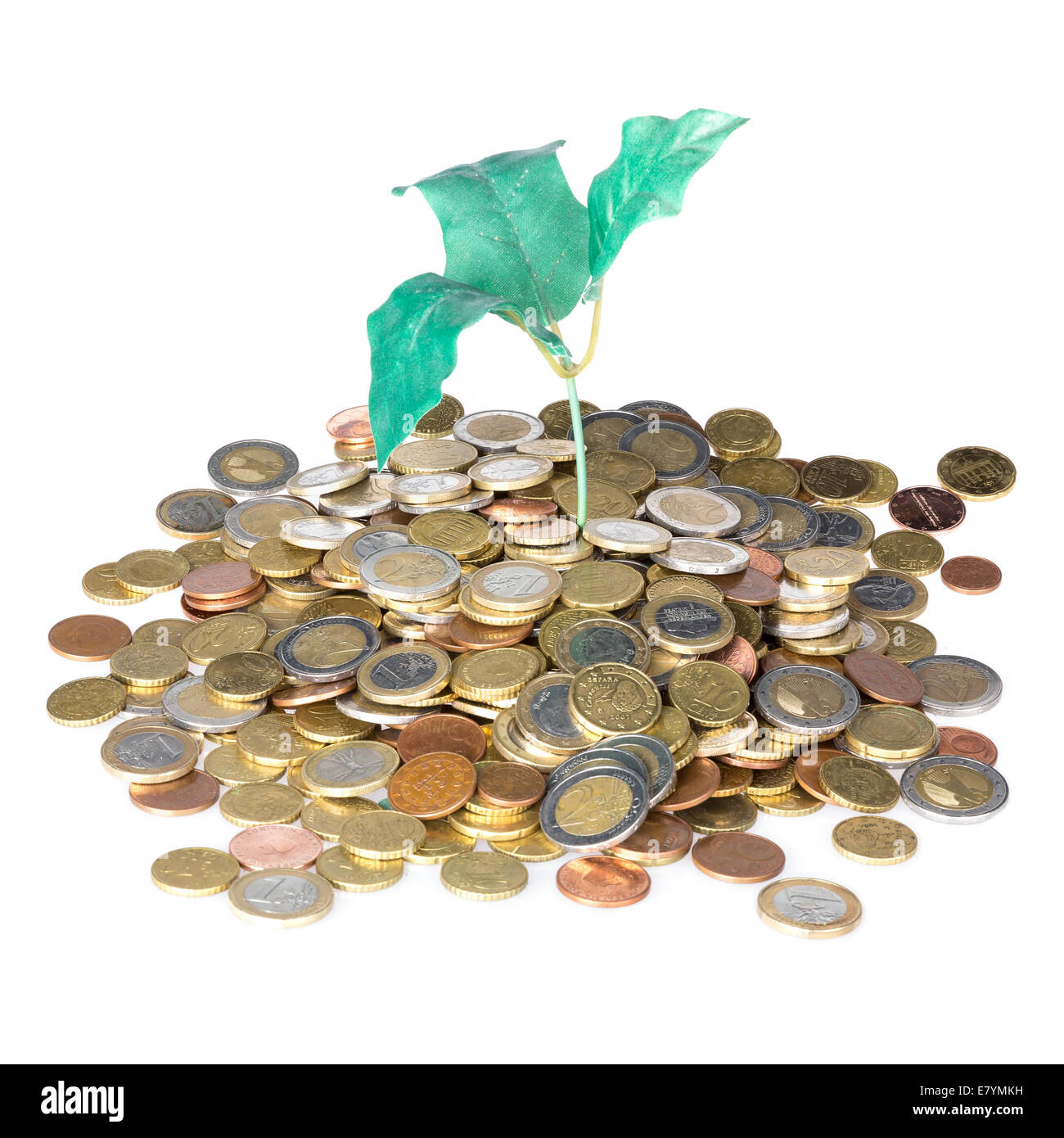 Haufen von Münzen mit Geldbaum isoliert auf einem weißen Hintergrund Stockfoto