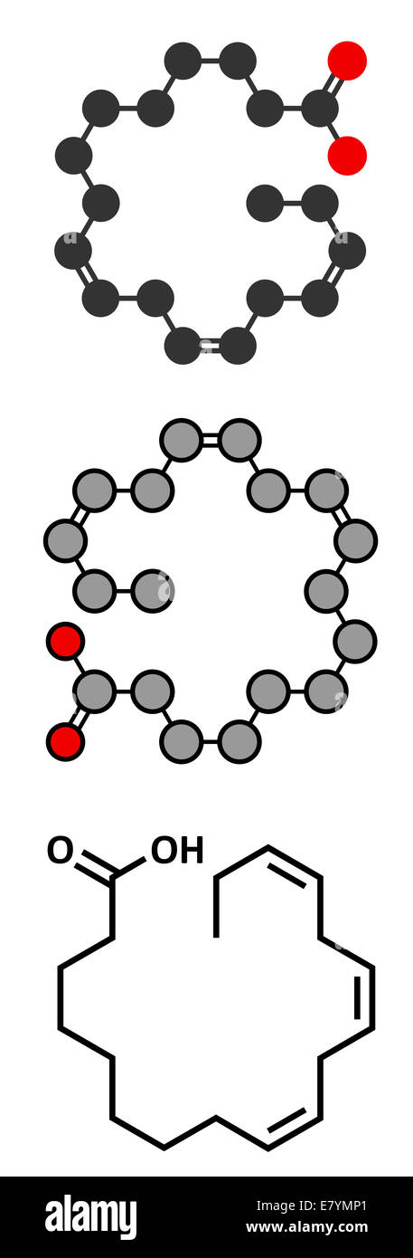 Alpha-Linolensäure (ALA)-Molekül. Essentiellen mehrfach ungesättigten Omega-3 Fettsäuren, vorhanden in vielen pflanzlichen Ölen. Konventionelle Stockfoto