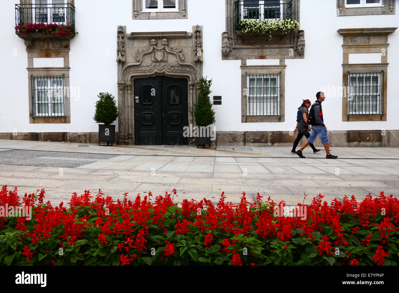Fassade des Herrenhauses Casa de Carreira, rosa Salbei Blumen im Vordergrund, Viana do Castelo, Nord-Portugal Stockfoto