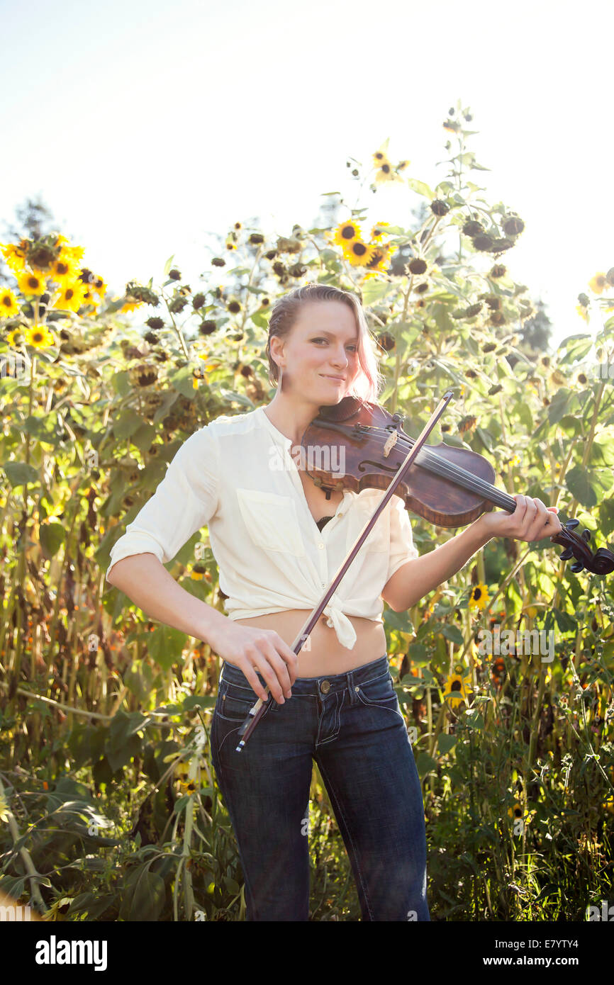 Junge Frau spielt Geige im Sonnenblumenfeld Stockfoto