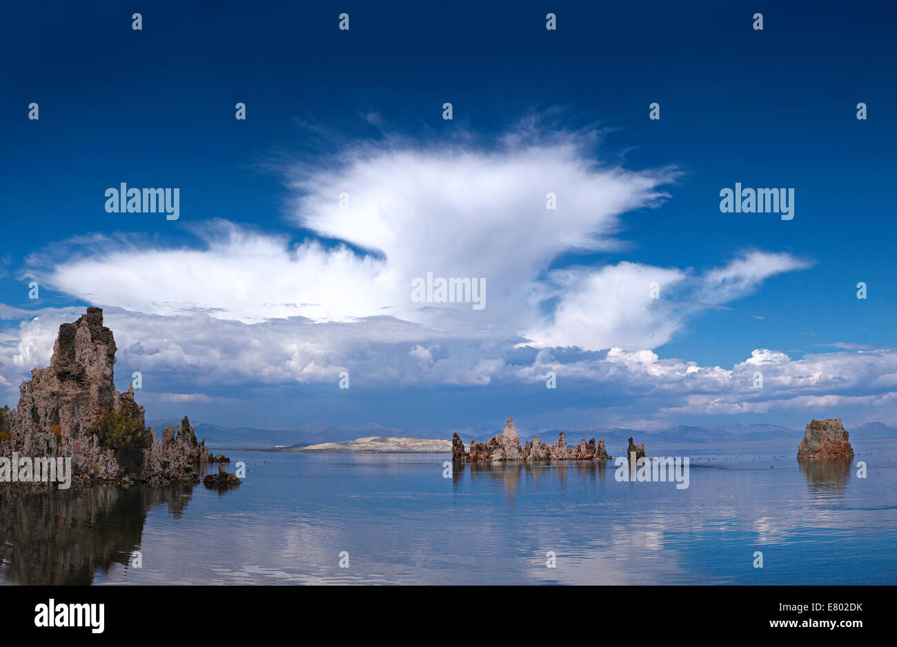 Mono Lake tufas Stockfoto