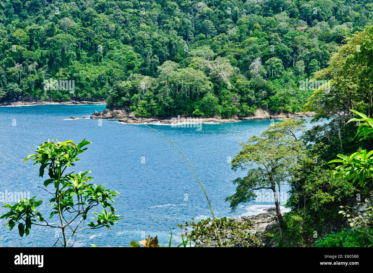 Teluk Hijau (Grüne Bucht) Strand in Banyuwangi, Ost-Java, Indonesien Stockfoto