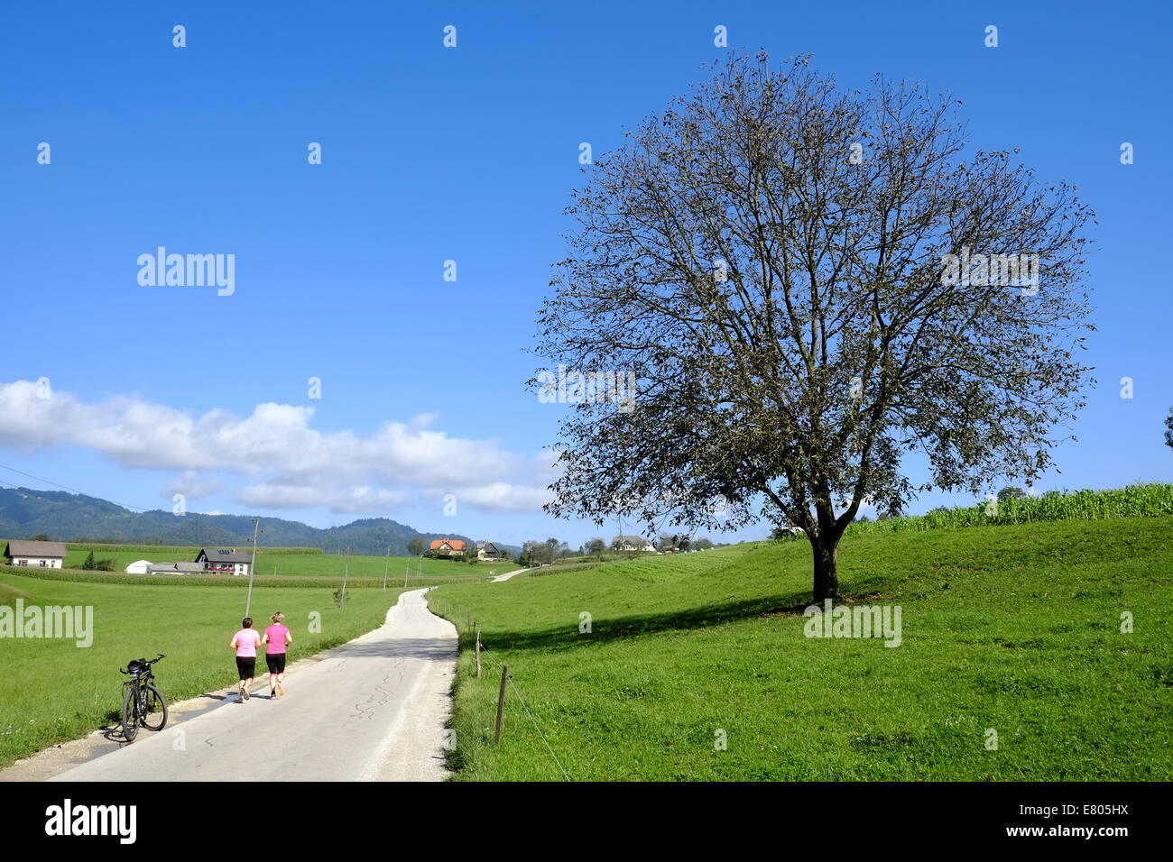 Laufen auf Landstraße in der Nähe von Škofja Loka, Slowenien Stockfoto