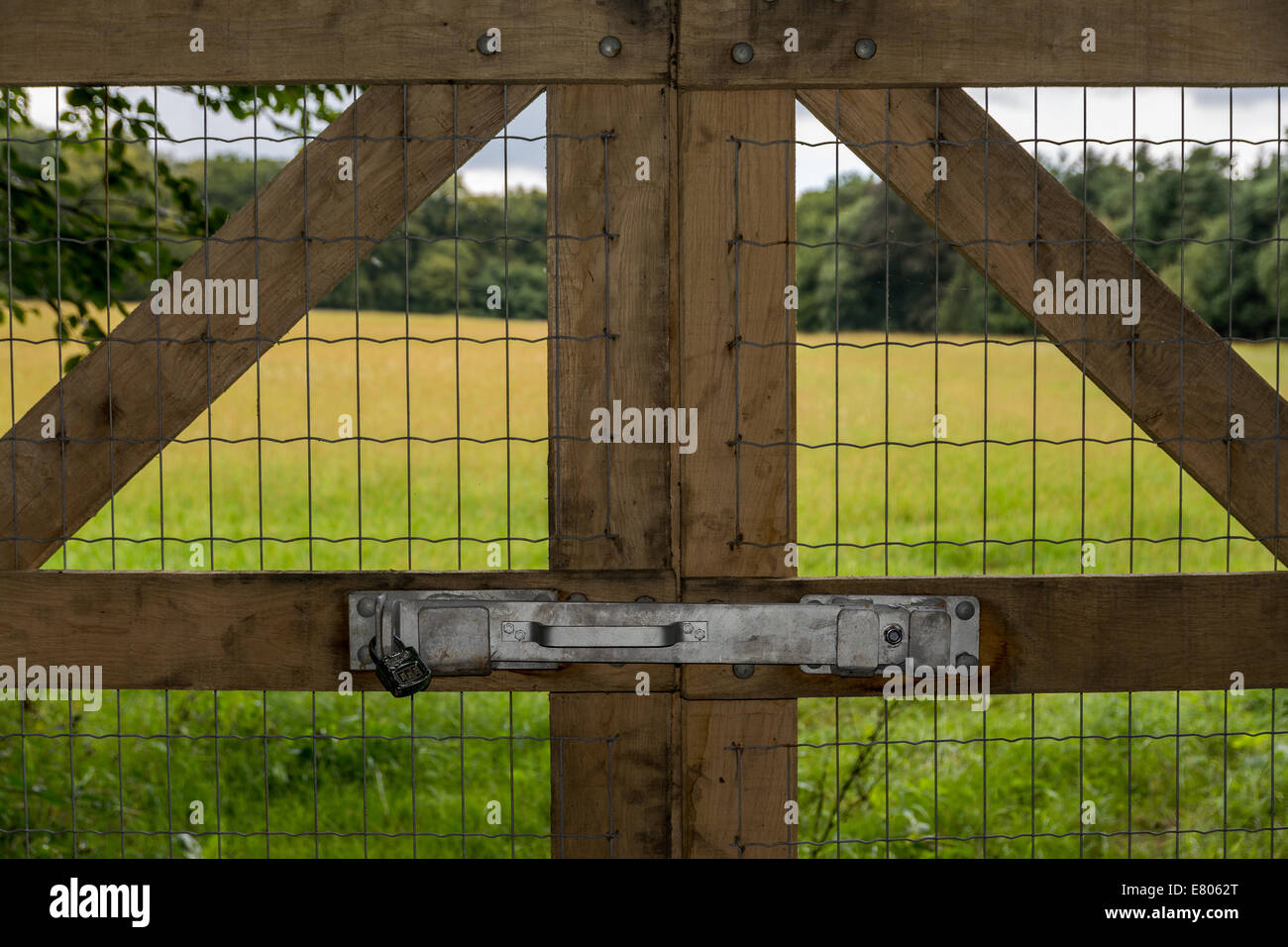 Holzzaun führende auf ein Feld durch den Wald gesperrt Stockfoto