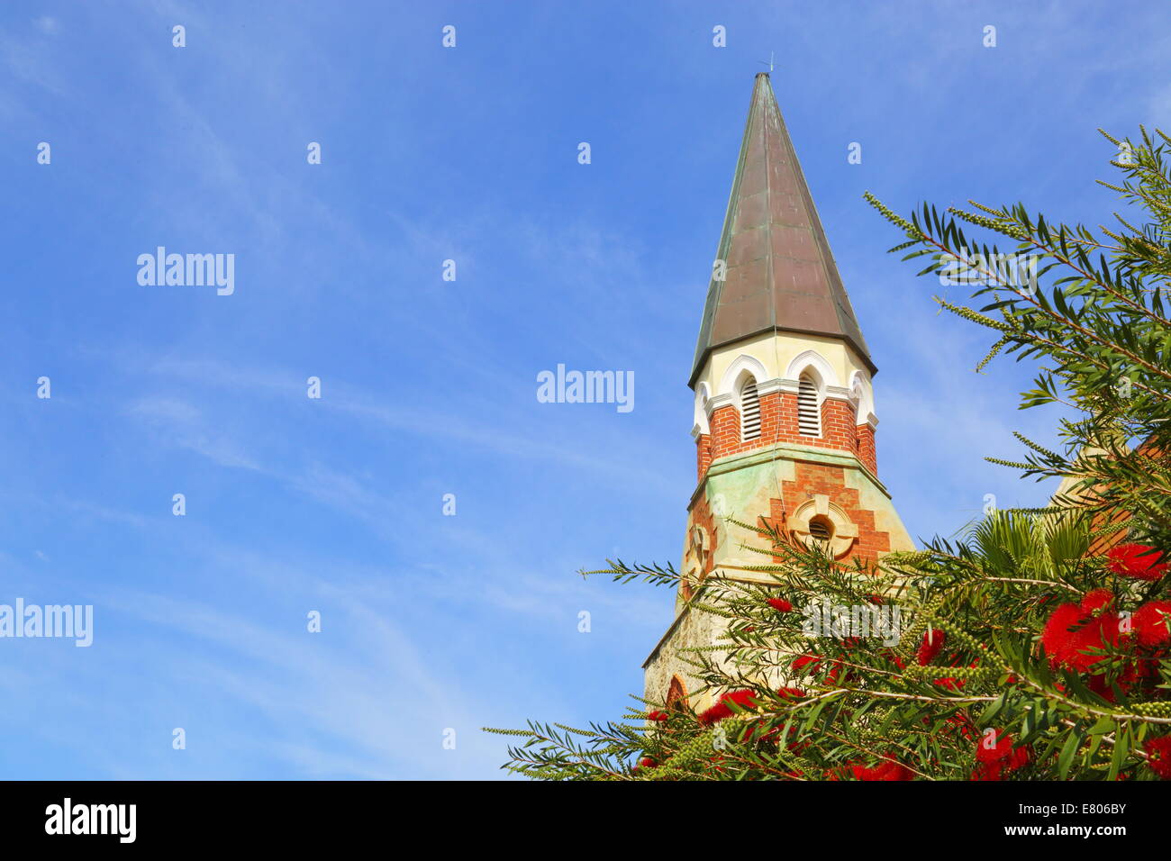 Der Turm der schottischen presbyterianischen Kirche ist eingerahmt von Bottlebrush Blumen in Fremantle, Western Australia, Australien. Stockfoto