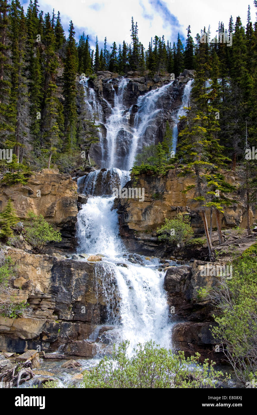 Tangle Falls, Jasper Nationalpark, Alberta, Kanada Stockfoto