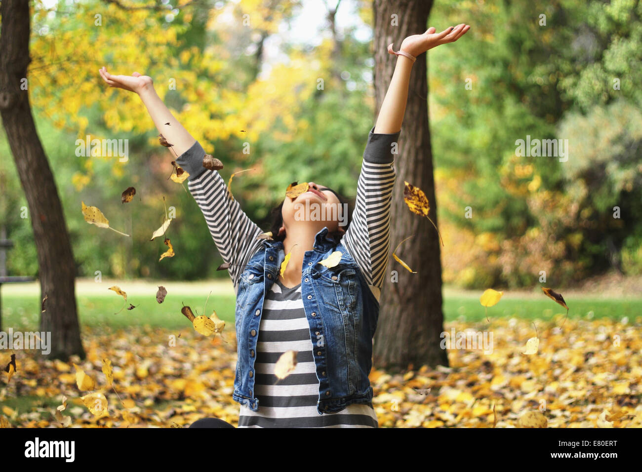 Ein toller Herbsttag. Stockfoto