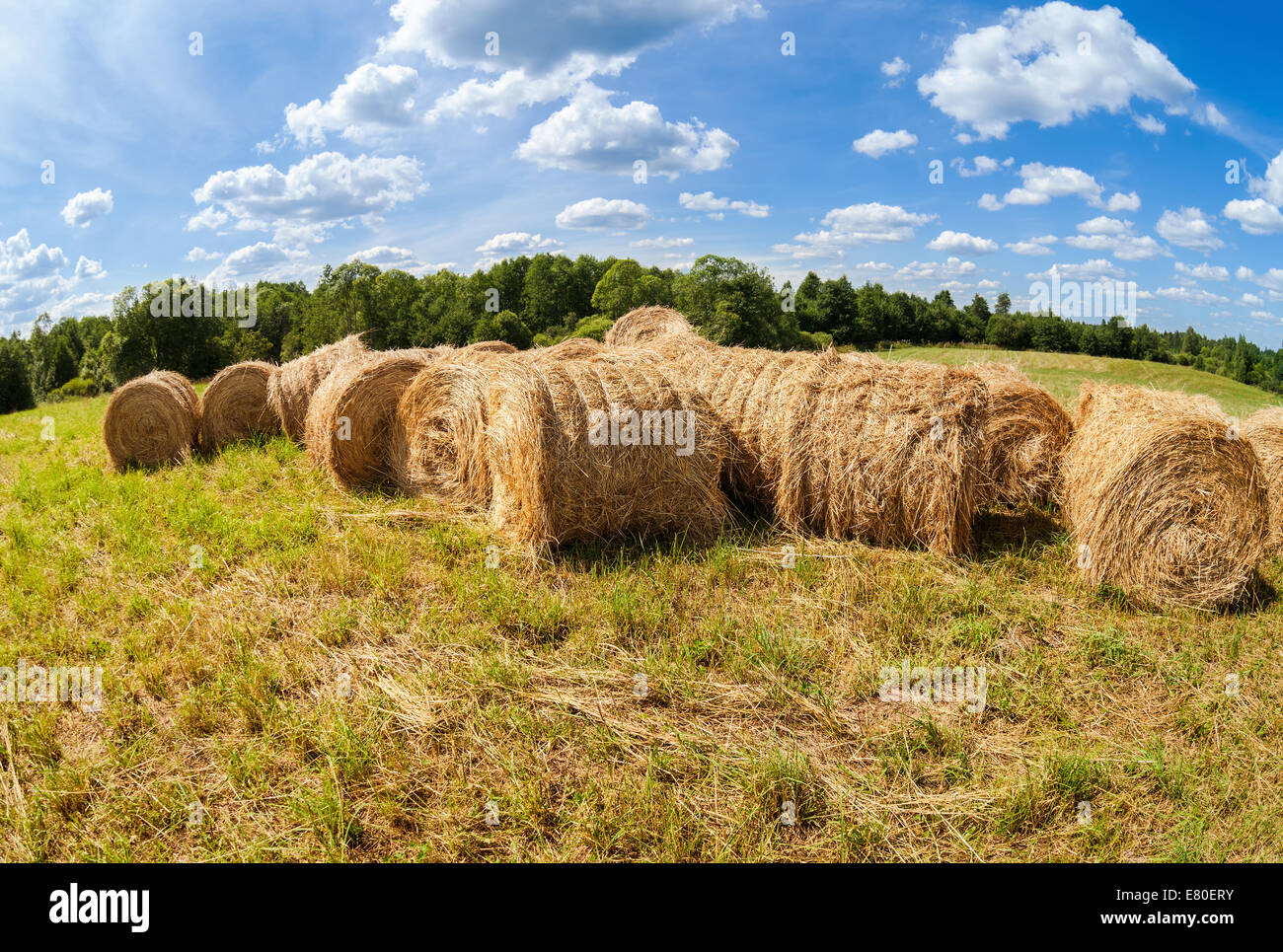 Heuballen auf dem Feld unter blauem Himmel im Sommertag Stockfoto
