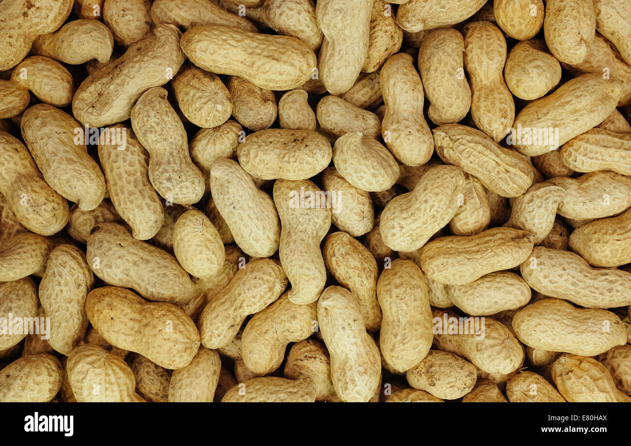 Monkey Nuts, Erdnüsse oder Erdnüsse in der Schale als eine abstrakte Hintergrundtextur Stockfoto