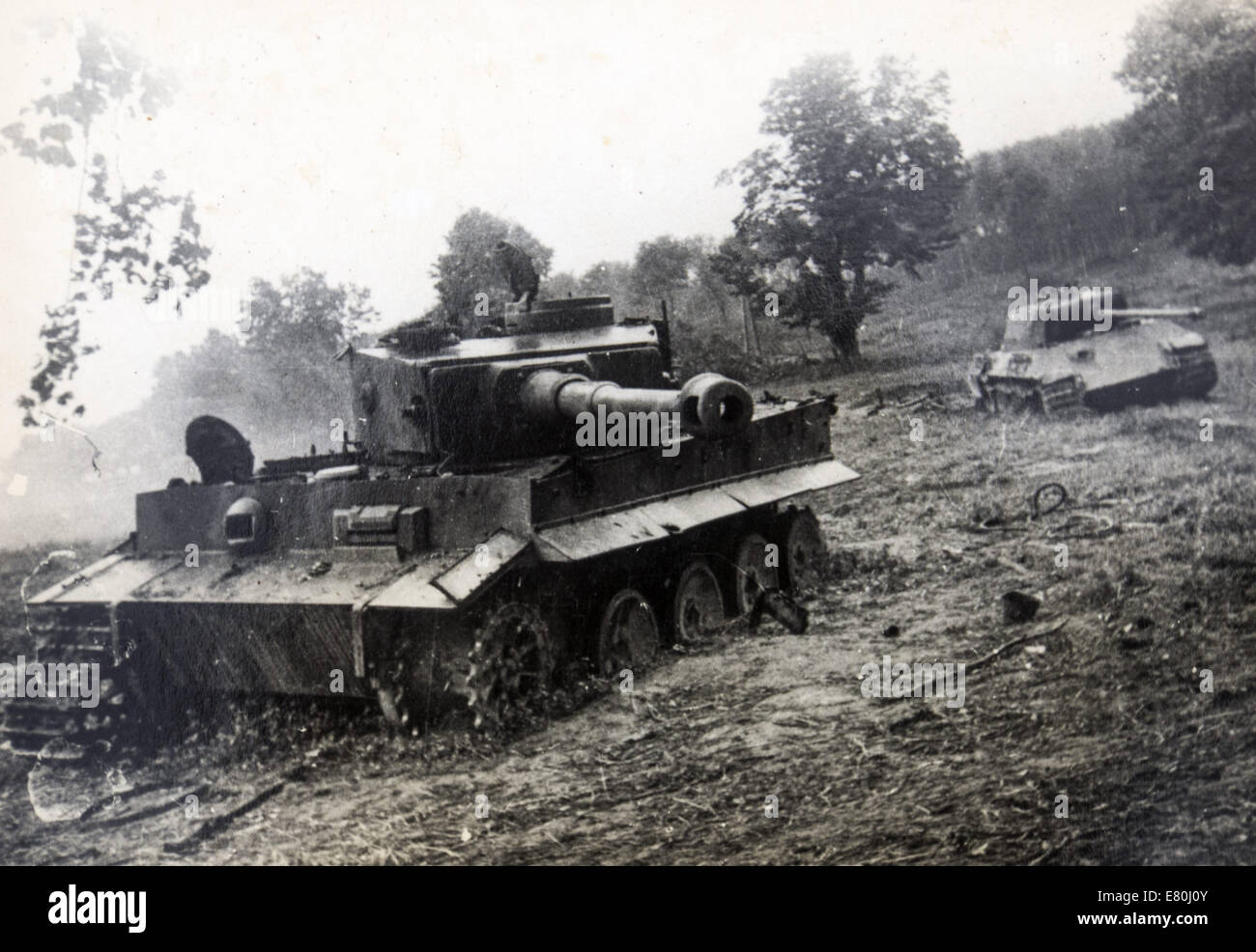 Deutsche Panzer Im 2 Weltkrieg Panther panzer aus dem zweiten weltkrieg -Fotos und -Bildmaterial in