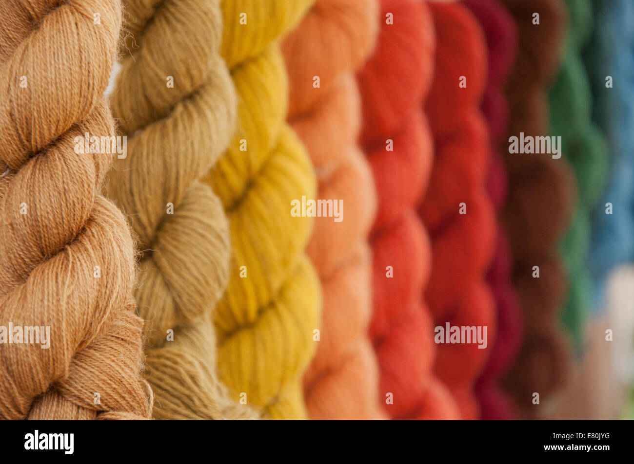 Hängen natürlich gefärbte Wolle konzentrierte sich auf die gelben Stränge Stockfoto