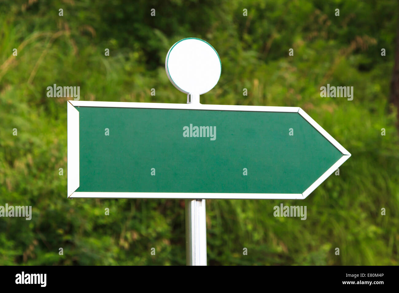 Grün, leere, leere Schild mit Pfeil nach rechts Richtung und wenig Kreisform im Wald. Stockfoto